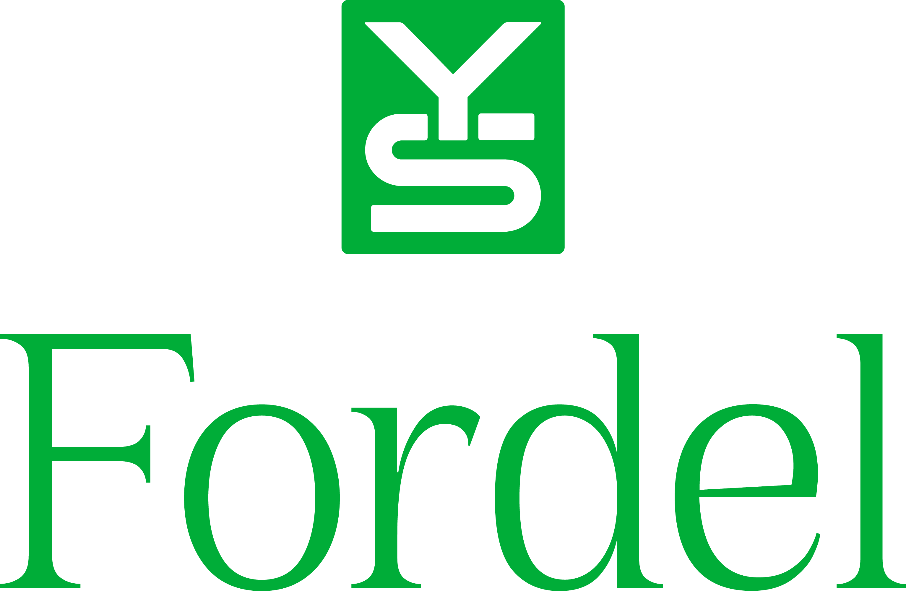YS Fordel logo